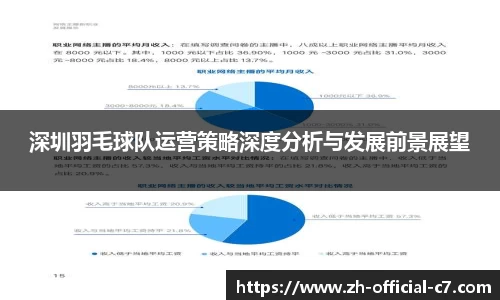 深圳羽毛球队运营策略深度分析与发展前景展望